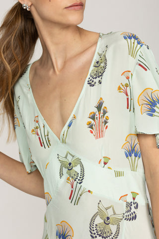 PISTACIA VERA- ASTER DRESS